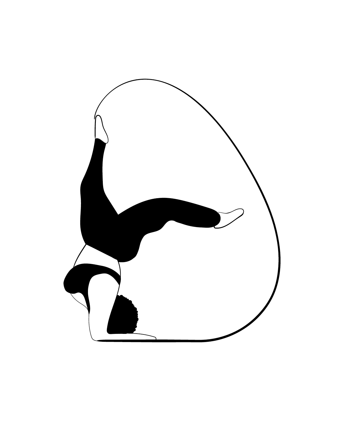 Inhabit_Illustrations_vinyassa